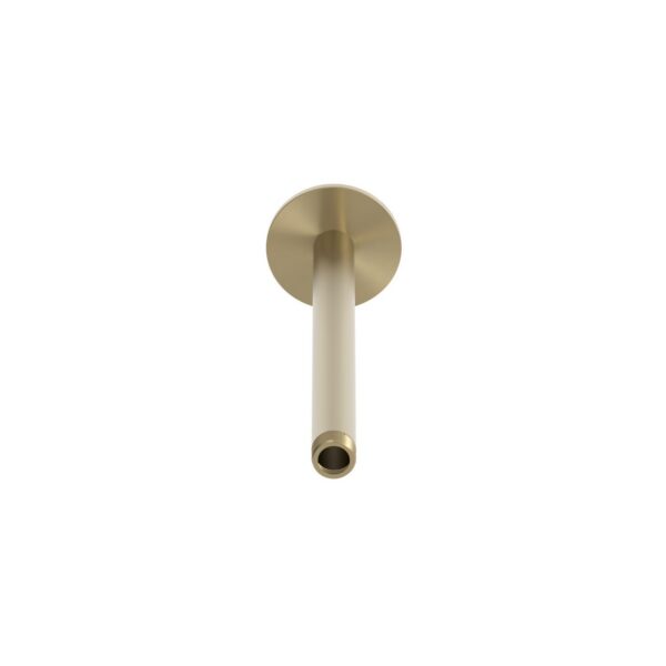 BRACCIO-DOCCIA-SOFFITTO-LEVANTE-LUNGO-ORO