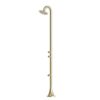 DOCCIA-INOX-LUNA-DOPPIO-TMP-ORO DOCCIA INOX LUNA DOPPIO TMP ORO 2 100x100